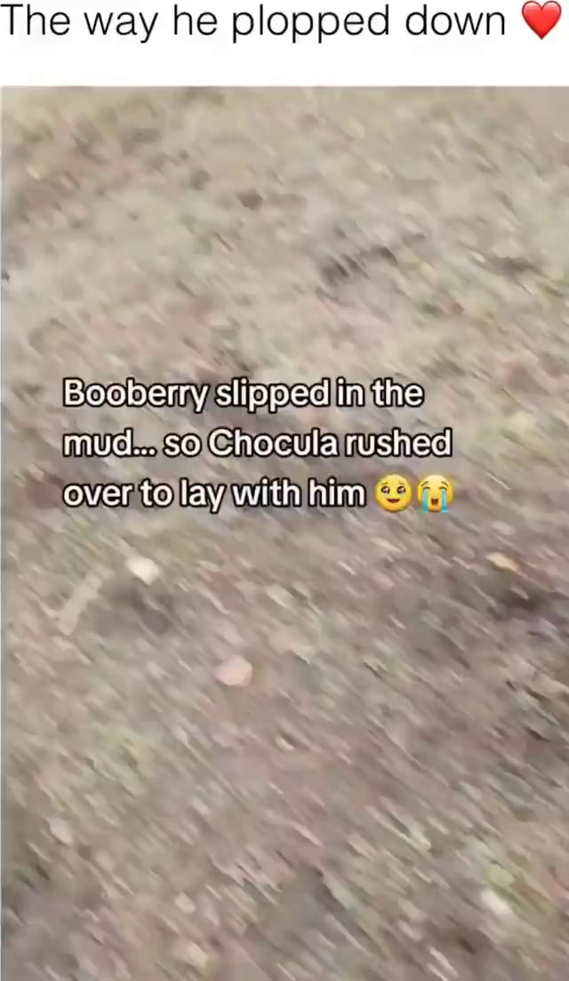 He way he plopped down Booberry slipped in the mud... so Chocula rushed ...