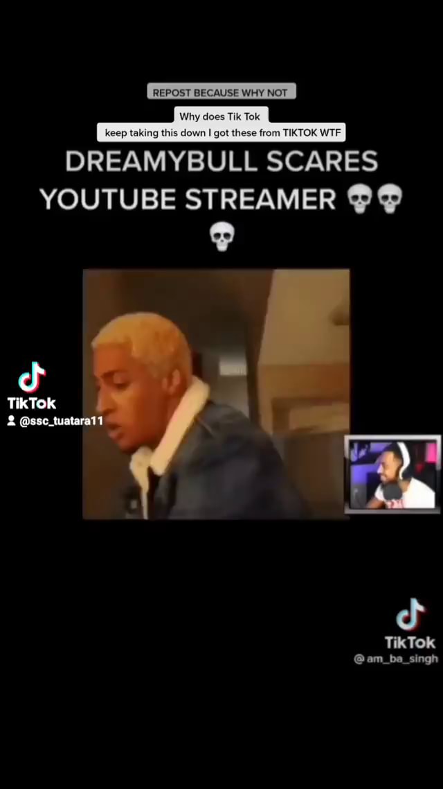 DREAMYBULL SCARES YOUTUBE STREAMER TikTok @am_ba_singh - IFunny