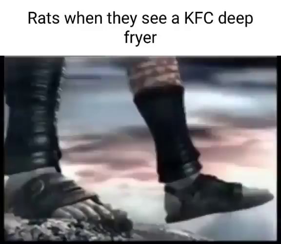Rats when they see a KFC deep fryer iFunny