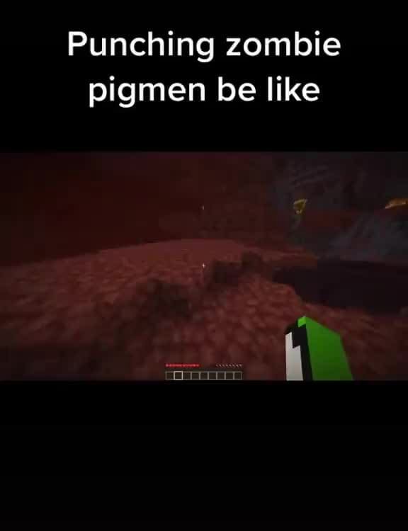 Punching zombie pigmen be like iFunny