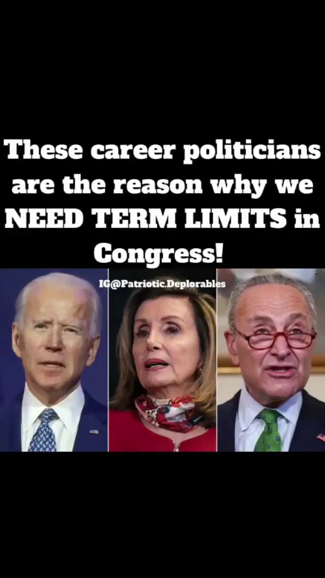 these-career-politicians-are-the-reason-why-we-need-term-limits-in