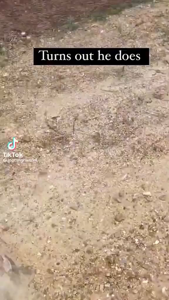 Turns Out He Does TikTok IFunny