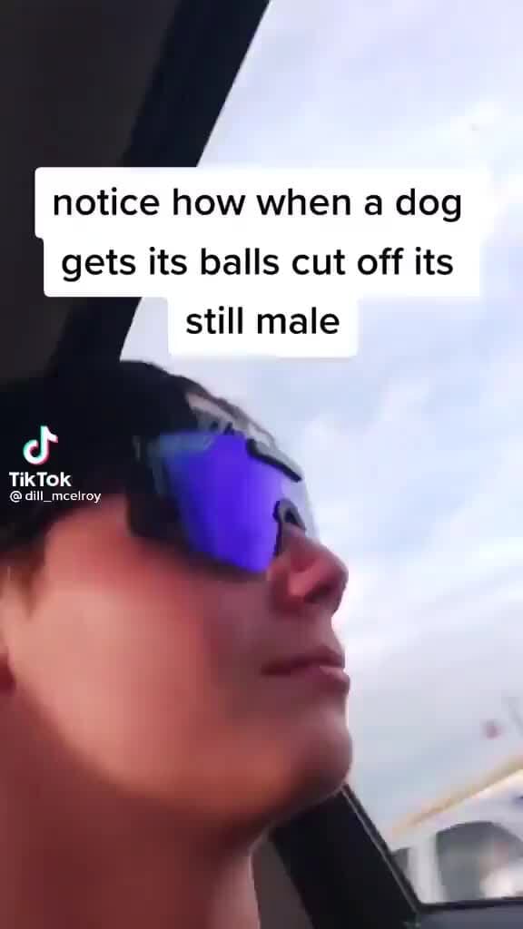 Notice how when a dog gets its balls cut off its still male TikTok Sa