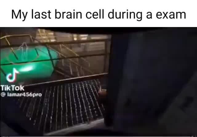 My last brain cell during a exam I TikTok lamar4566pro I - iFunny