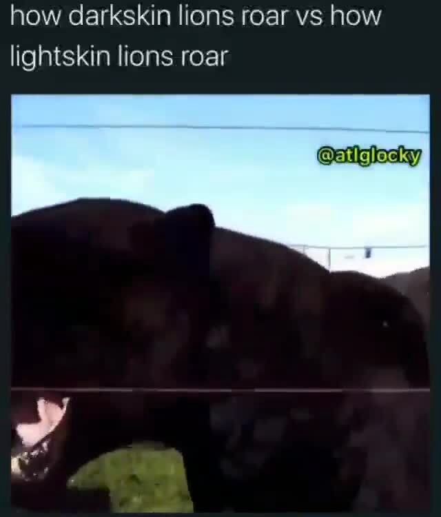 How darkskin lions roar vs how lightskin lions roar iFunny