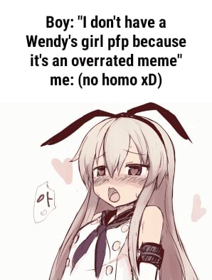 Boy I Don T Have A Wendy S Girl Pfp Because It S An Overrated Meme Me No Homo Xd Ifunny