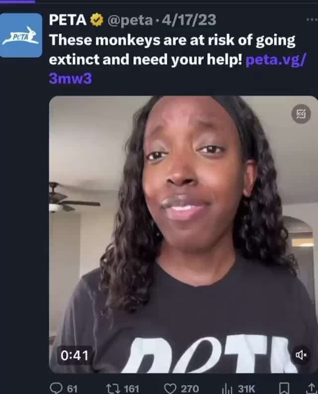 PETA These monkeys are at risk of going extinct and need your help