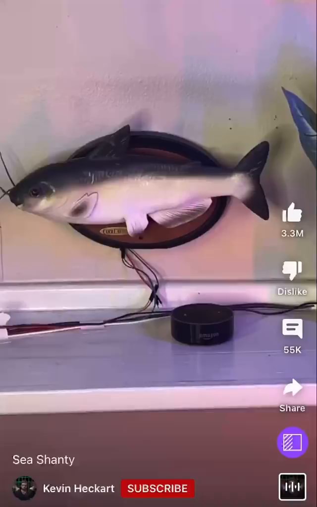 AA Sea Shanty Kevin Heckart SUBSCRIBE iFunny