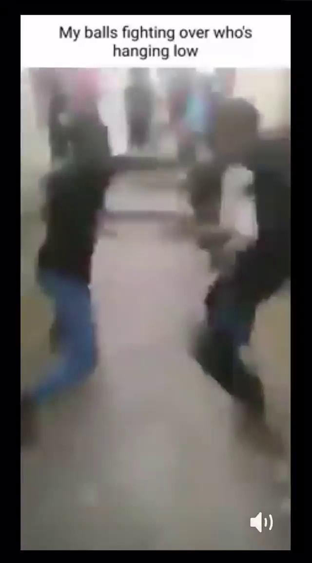 My balls fighting over who's hanging low iFunny