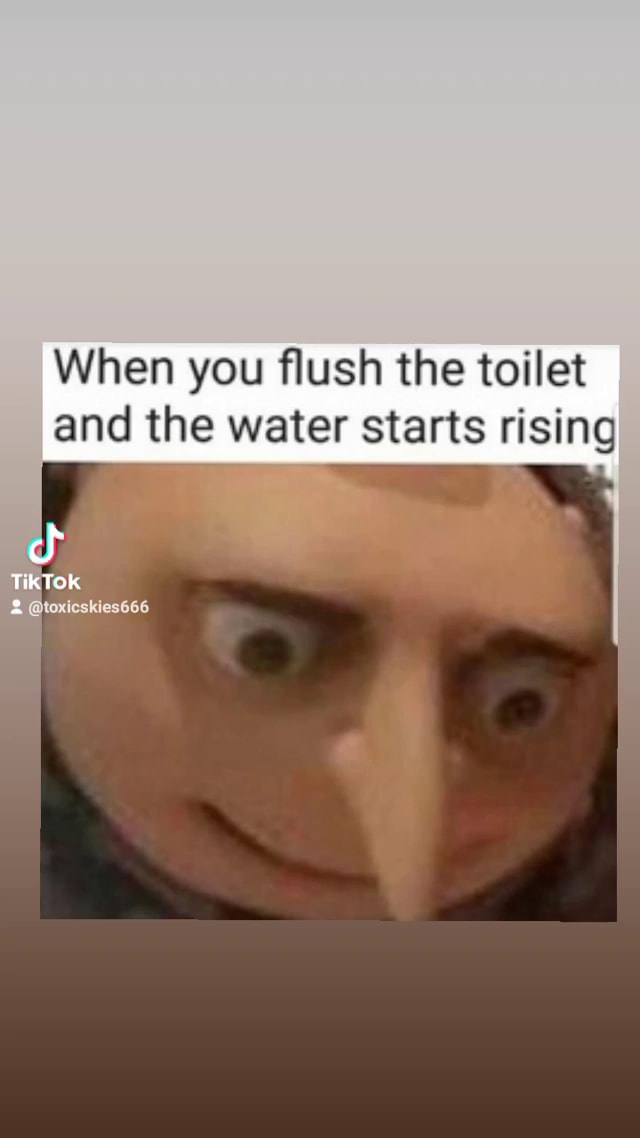 when-you-flush-the-toilet-and-the-water-starts-rising-ifunny