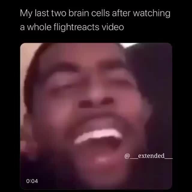 My last two brain cells after watching a whole flightreacts video - iFunny