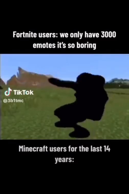 Fortnite users we only have 3000 emotes it's so boring TikTok 3bitmc