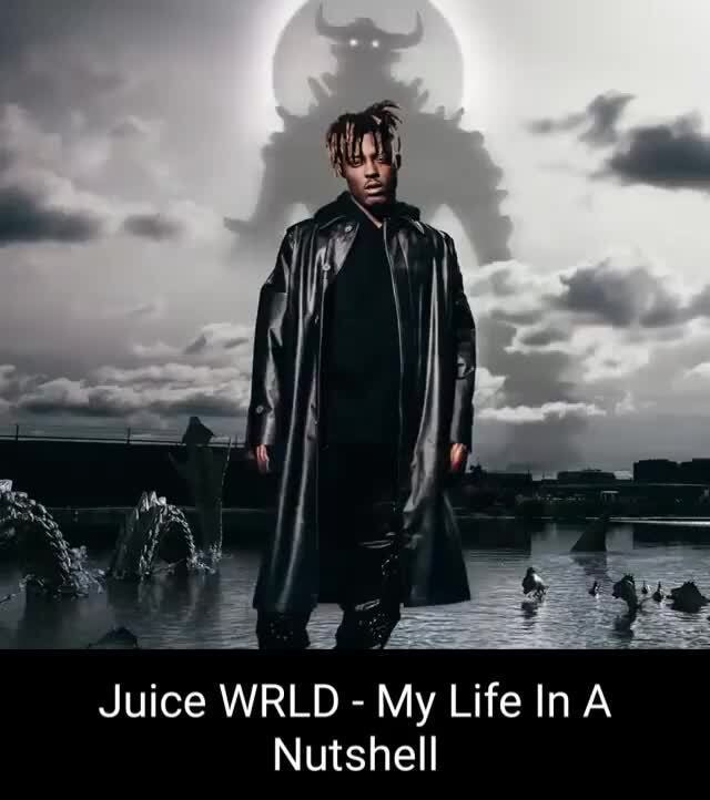 Juice WRLD My Life InA Nutshell iFunny