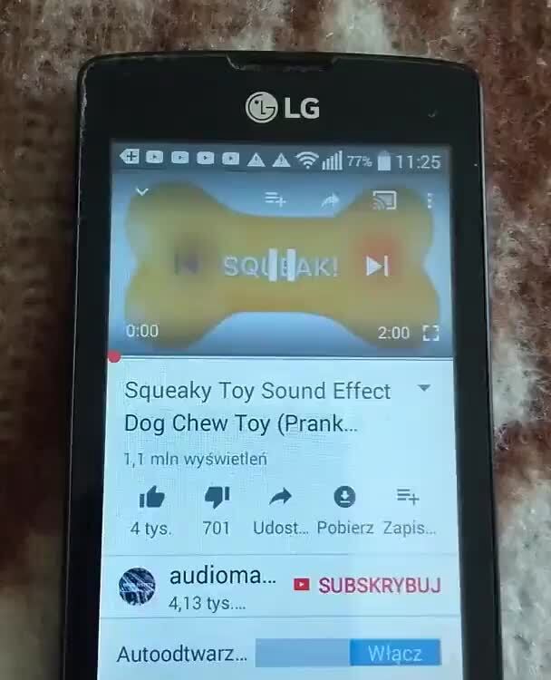 Squeaky Toy Sound Ef Dog Chew Toy (Prank )