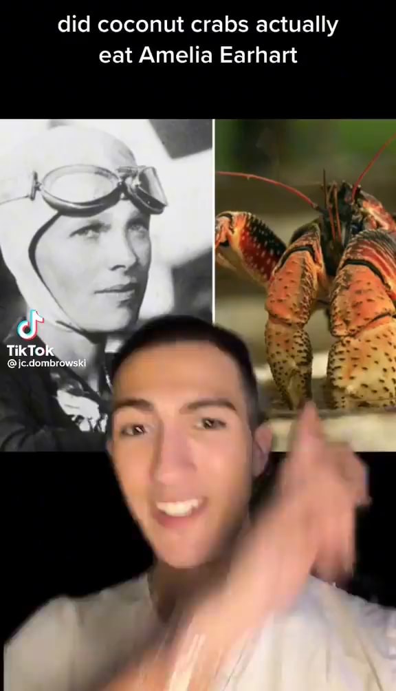 Did coconut crabs actually eat Amelia Earhart cf TikTok deniorowskr