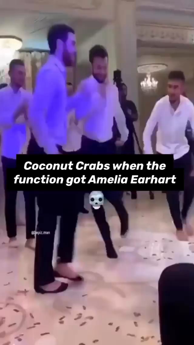 Coconut Crabs when the function got Amelia Earhart iFunny