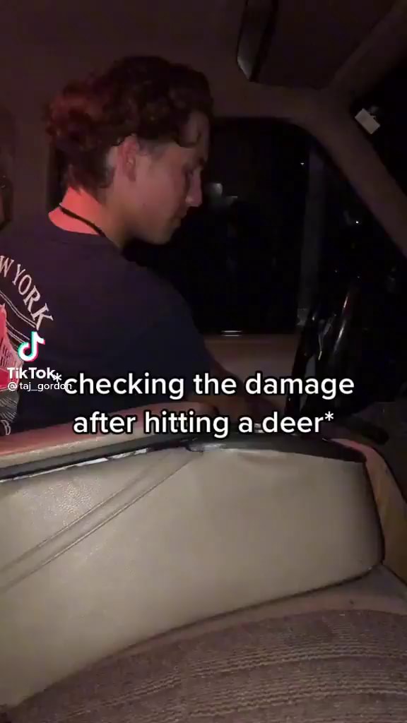 Checking the damage after hitting a deer' - )