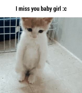 I Miss You Baby Girl C Ifunny