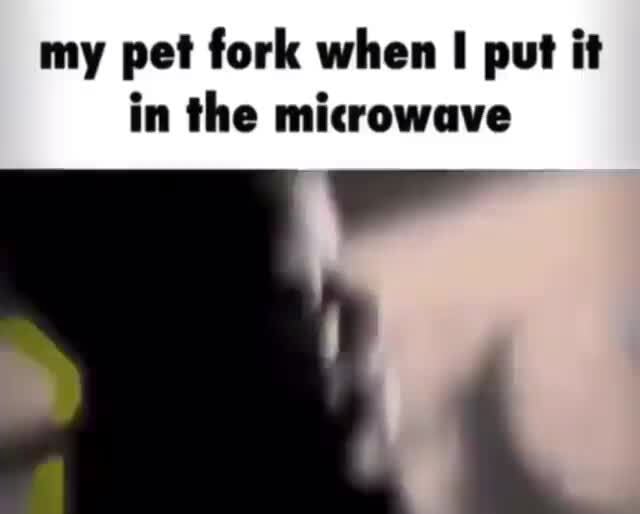 me putting my pet fork in microwave meme｜TikTok Search