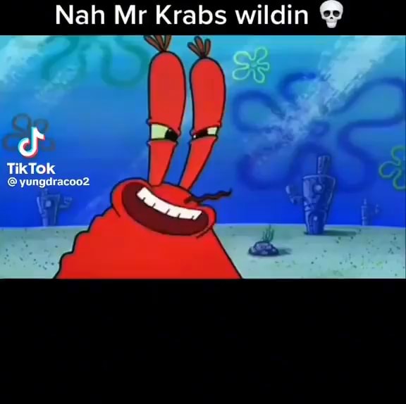 Nah Mr Krabs wildin TikTok - iFunny