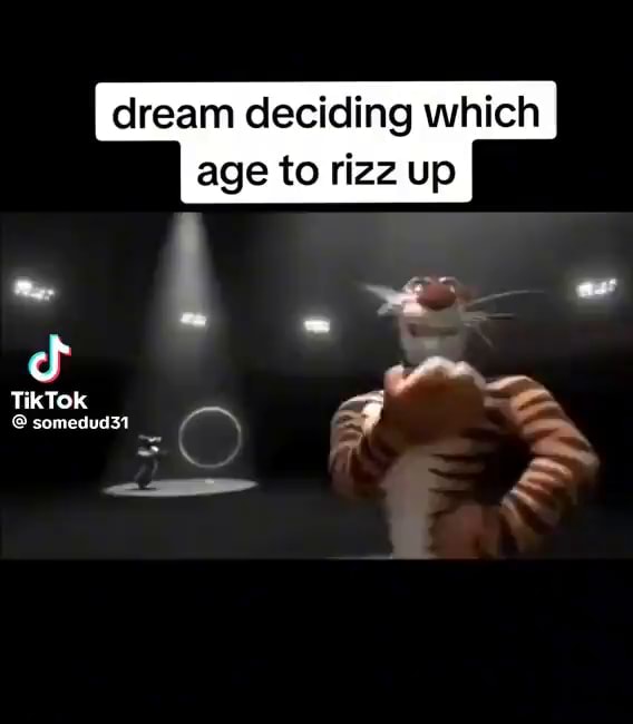 Dream deciding which age to rizz up cf TikTok & somedud31 - iFunny
