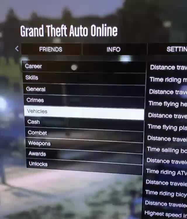 My real stats in GTA online Grand Theft Auto Online I flying Distance