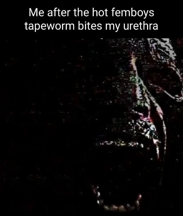 Me after the hot femboys tapeworm bites my urethra iFunny