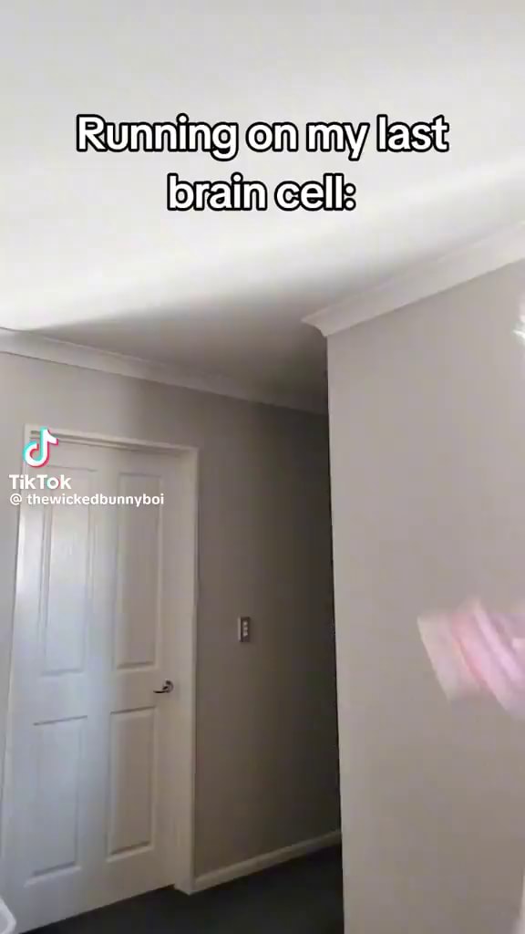 Running on my last brain cell: TikTok @ thewickedbunnyboi - iFunny