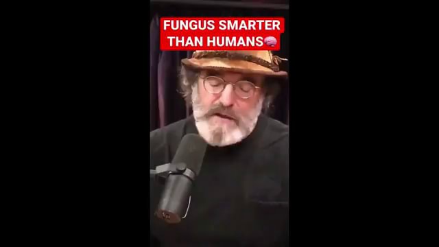 FUNGUS SMARTER THAN HUMANS - iFunny