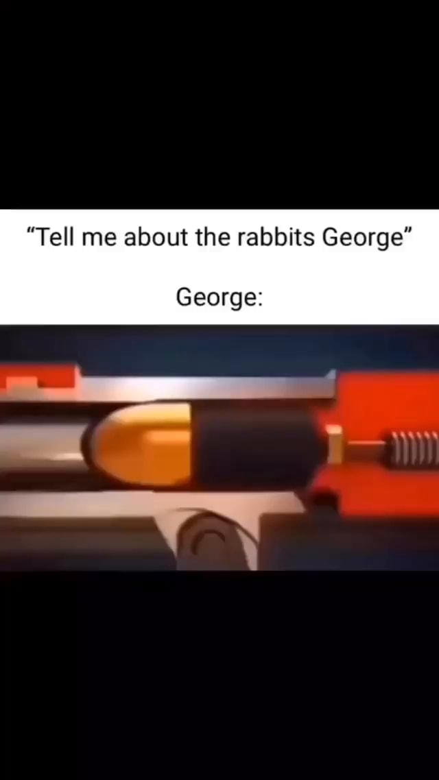  tell me about the rabbits george george ifunny