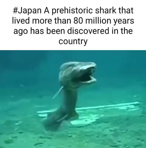 #Japan A prehistoric shark that lived more than 80 million years ago