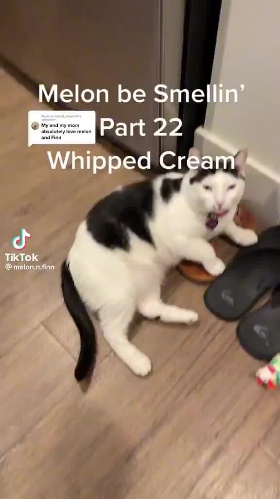 Melon be Smellin' Part 22 Whipped Cream SS TikTok iFunny