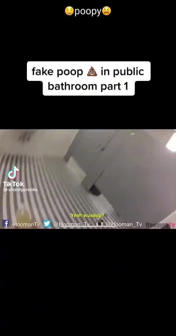 Poopy fake poop in public bathroom part 1 TikTok BB sheniyoreney iFunny