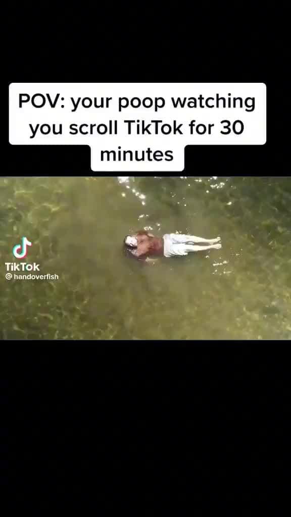 POW your poop watching you scroll TikTok for 30 minutes TikTok iFunny