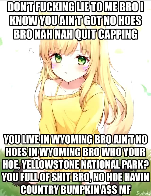 DON BRO HOE, VELLOWSTONE, NATIONAL PARK? YOU FULL OF SHIT BRO! HAVIN ...