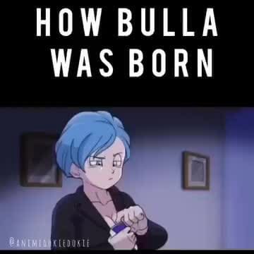 HOW BULLA WAS BORN - iFunny