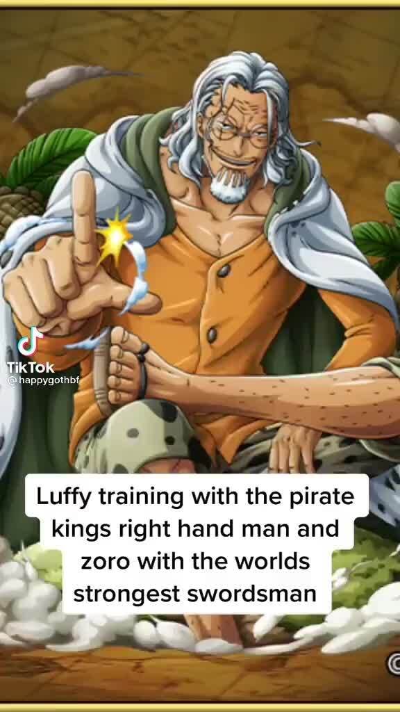 TikTox Luffy training with the pirate kings right hand man and zoro ...