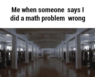 Me when someone says I did a math problem wrong - )