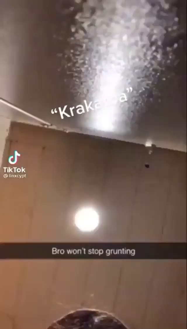 tiktok-linxcypt-bro-won-t-stop-grunting-ifunny