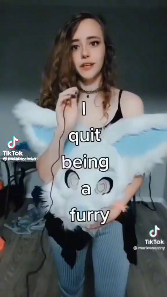 Quit Tiktok Being Furry Ifunny