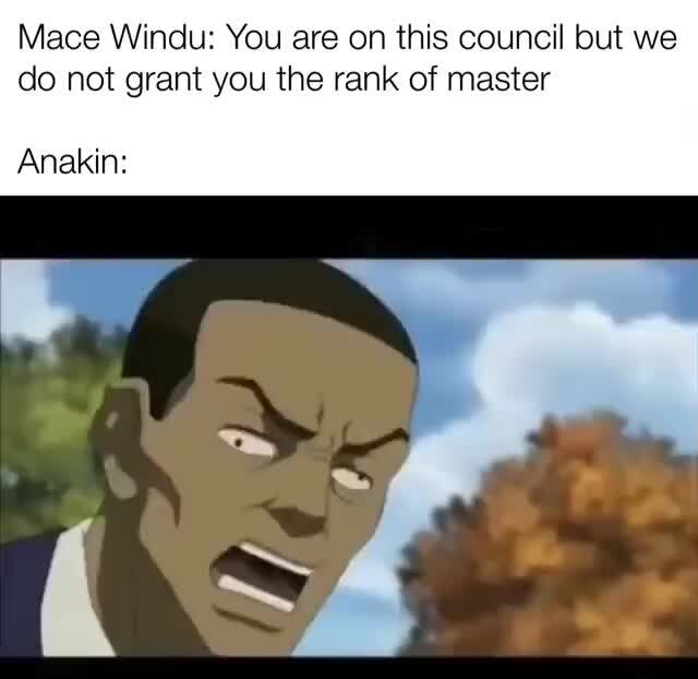 Mace Windu You are on this council but we do not grant you the rank of