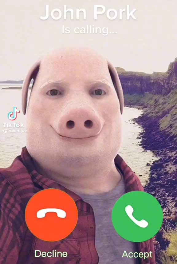 John Pork Is calling... TikTok Greveryoe Decline Accont iFunny Brazil