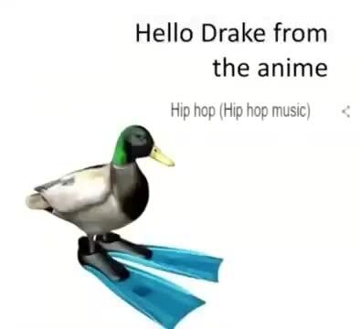 Hello Drake from the anime Hip hop (Hip hop music) - iFunny