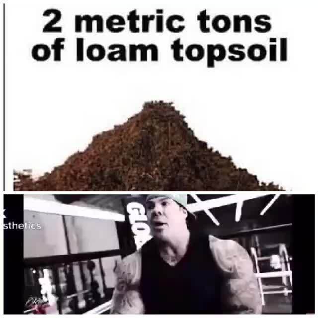 2 metric tons of loam topsoil ifunny