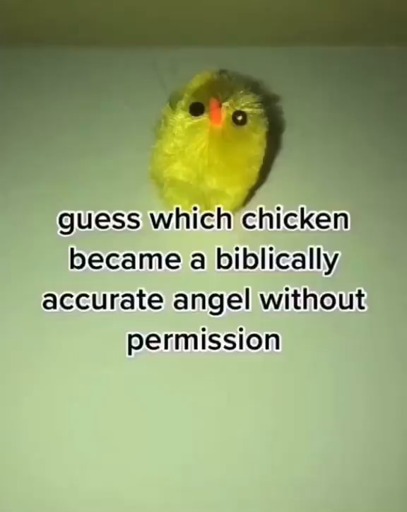 Guess Which Chicken Became A Biblically Accurate Angel Without Permission Ifunny