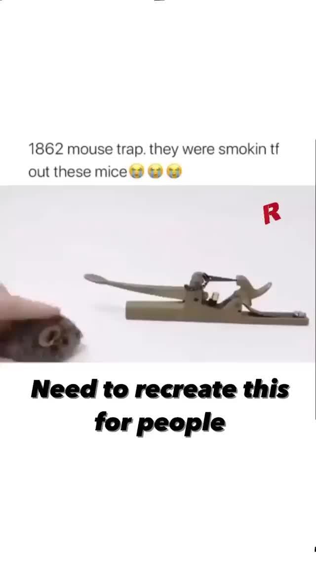 1862 mouse trap. they were smokin tf out these mice Need to recreate ...