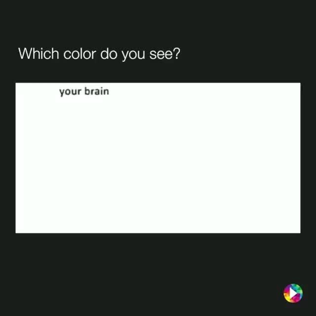 which-color-do-you-see-your-brain-ifunny