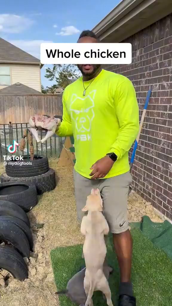 Whole chicken TikTok )