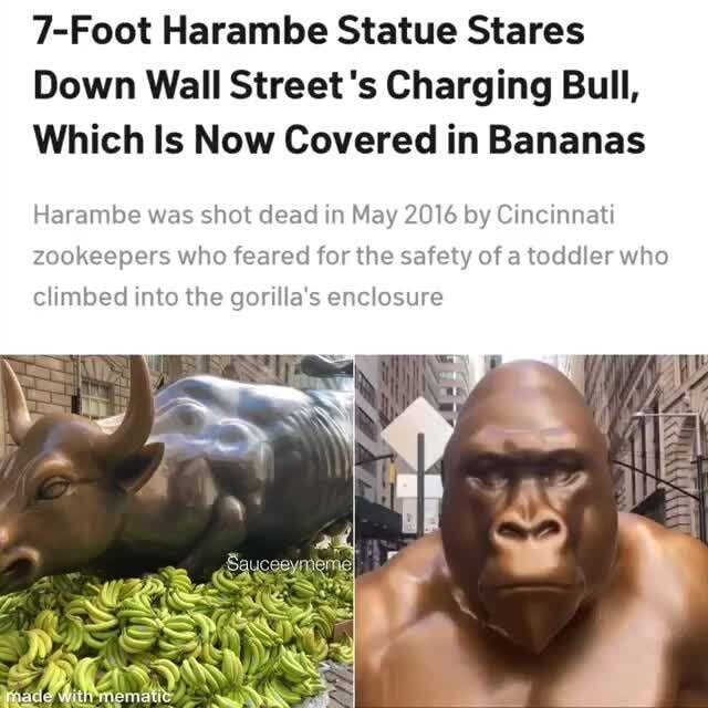 7Foot Harambe Statue Stares Down Wall Street's Charging Bull, Which Is