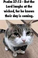 Lord laughs at the wicked, for he knows their day is coming. - iFunny